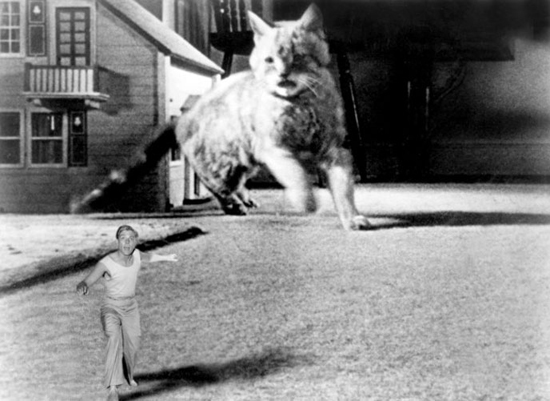 PHOTO FROM SCIFI-MOVIES.COM Grant Williams stars in 1957's